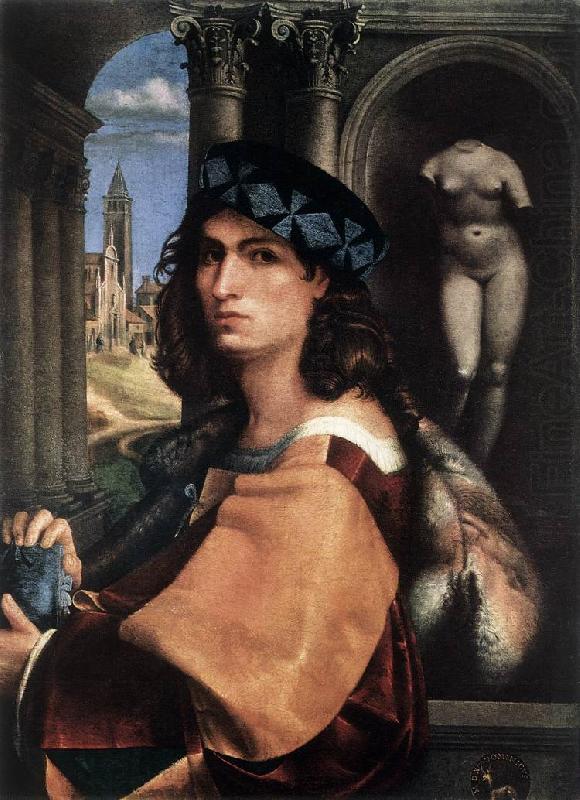 Portrait of a Man df, CAPRIOLO, Domenico